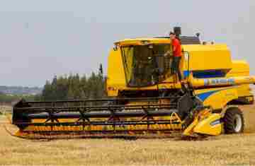  Salários da agropecuária do Paraná crescem no 2º trimestre e superam em 58% a média nacional
